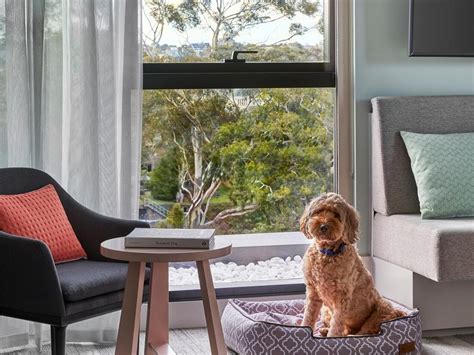 Pet Friendly Accommodation .